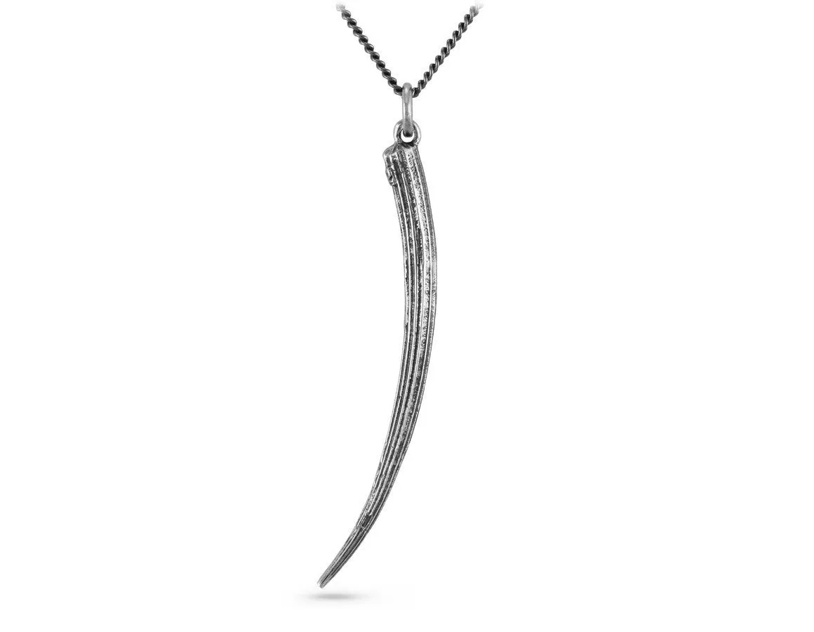 Tusk Shell Necklace - Silver